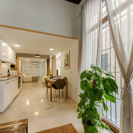 Casa En Plaza De La Merced_centro Flamenco_cadiz Cadix